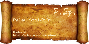 Palay Szolón névjegykártya